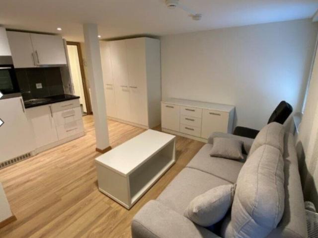 1 ROOM APARTMENT IN SEEWEN SZ, FURNISHED