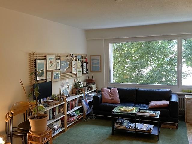 1 room apartment in Zürich Kreis 11 Seebach, furnished, temporary