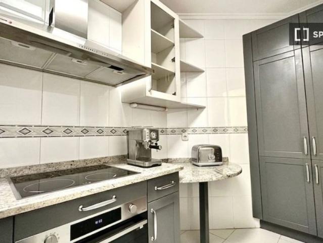 1 room luxury Apartment for rent in Bilbao, Spain