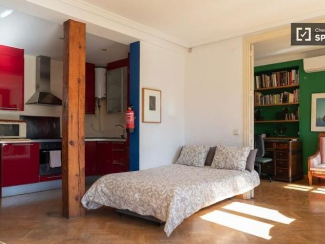 1 room luxury Flat for rent in Madrid, Autonomous Region of Madrid
