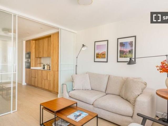 1 room luxury Flat for rent in Madrid, Spain