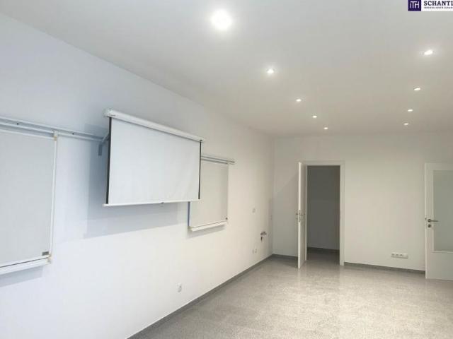 1 Schlafzimmer Wohnung Steiermark Steiermark LS102818771