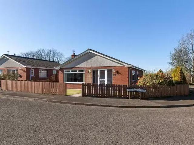 1 Toberdowney Avenue