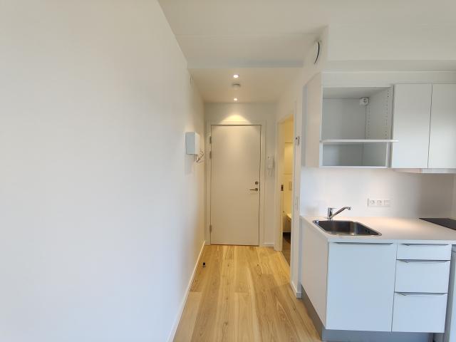 1 værelses lejlighed på 30 m²