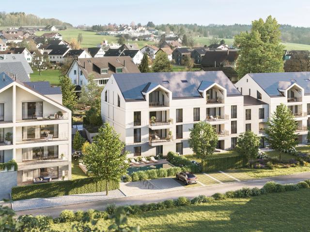 1. Vermietung 4.5 Zimmer Dachwohnung mit Panoramaaussicht und exklusivem Ausbaustandard