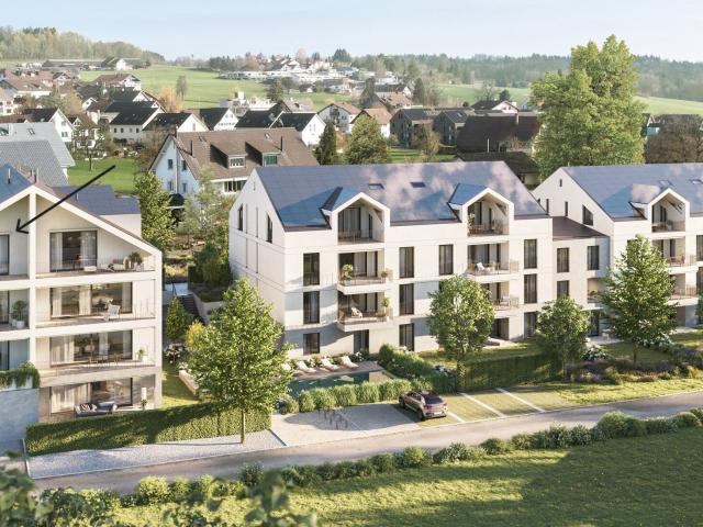 1. Vermietung 4.5 Zimmer Dachwohnung mit Panoramaaussicht und exklusivem Ausbaustandard