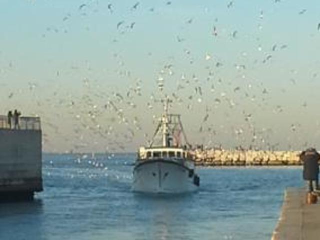 1 Vetrina in vendita a Rimini