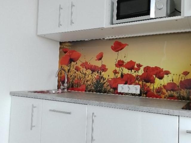 1 Zi. Whg. mit Fernblick sofort beziehbar, kompl. neu renoviert