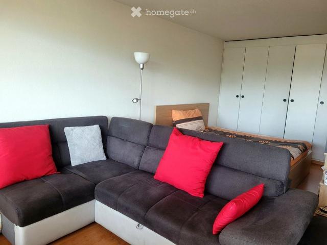 1 Zimmer, 43 m²