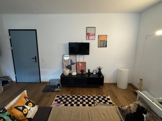 1 Zimmer, 56 m²