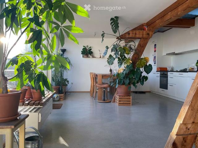 1.5 Zimmer, 88 m²