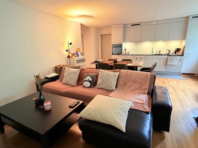 1 Zimmer, 100 m²