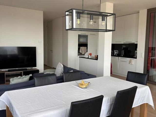 1 Zimmer, 110 m², 13. Stock