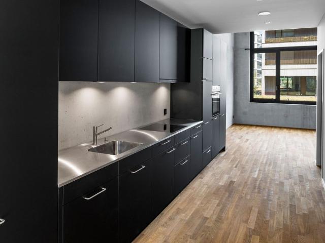 1 Zimmer, 120 m², EG