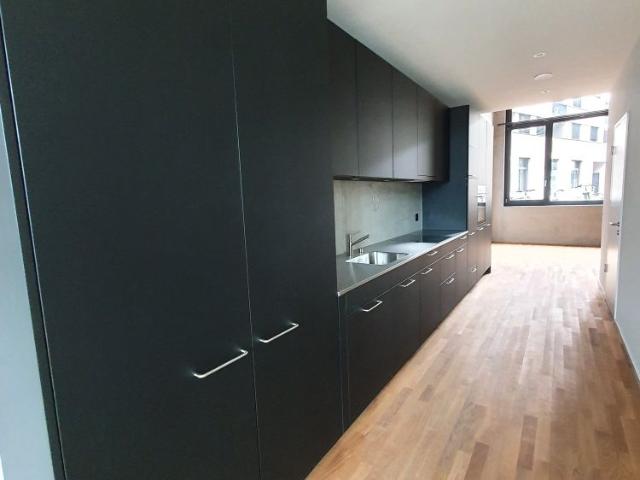 1 Zimmer, 120 m², EG