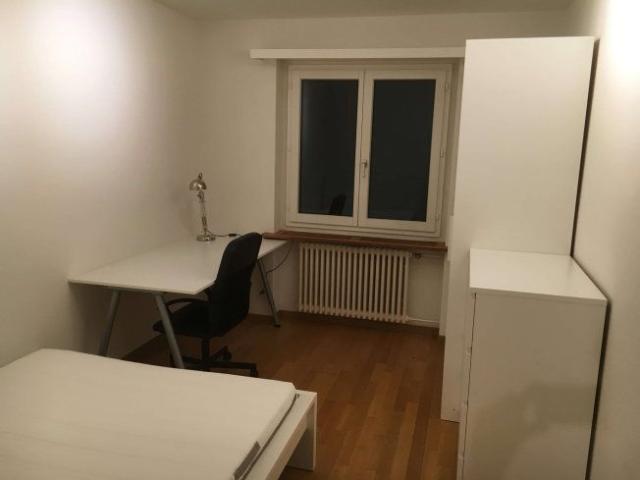 1 Zimmer, 14 m², EG