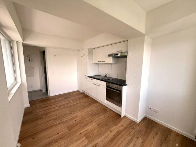 1 Zimmer, 15 m², Untergeschoss