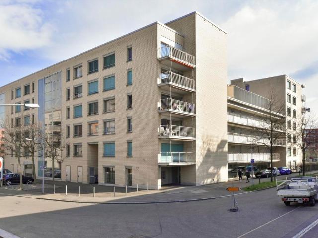 1 Zimmer, 161 m², EG