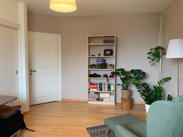 1 Zimmer, 18 m², Untergeschoss