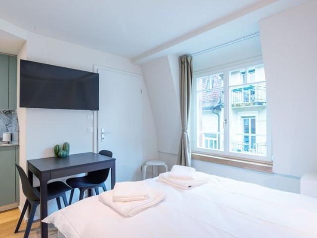 1 Zimmer, 18 m²