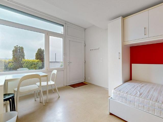 1 Zimmer, 19 m², EG
