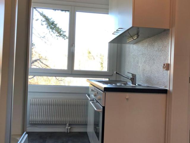 1 Zimmer, 23 m², EG