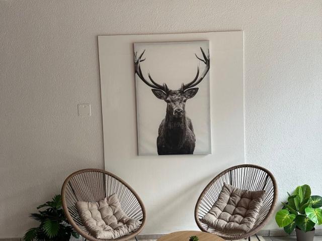 1 Zimmer, 20 m², 1. Stock