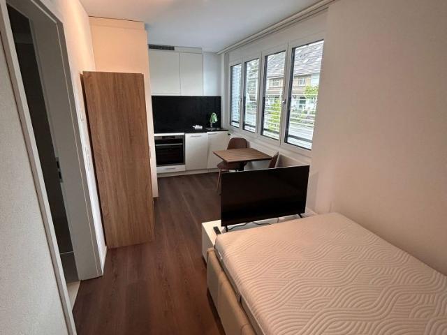 1 Zimmer, 20 m², 1. Stock