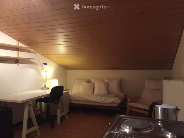 1 Zimmer, 20 m²