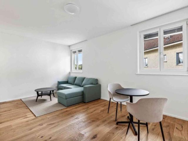 1 Zimmer, 20 m²