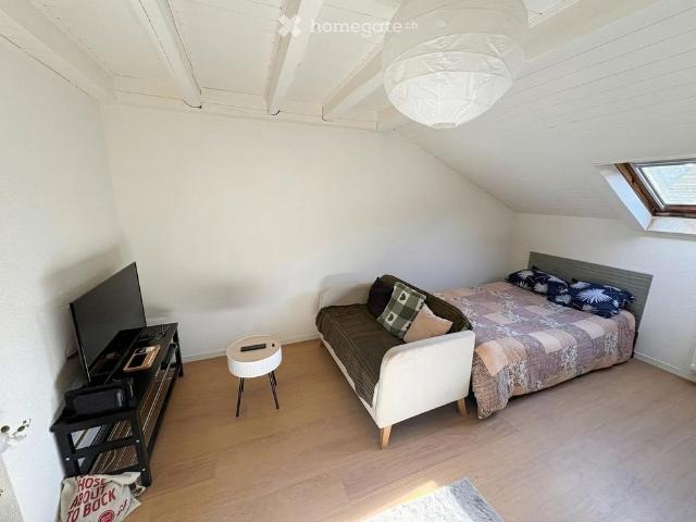 1 Zimmer, 20 m²