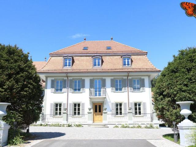1 Zimmer, 21 m², EG