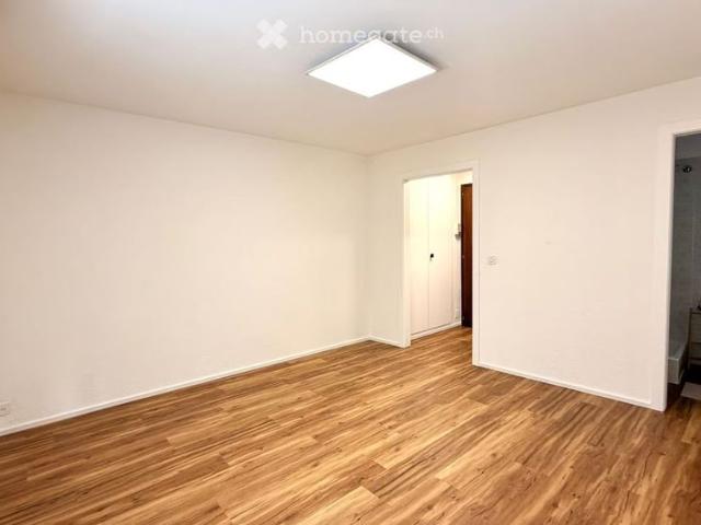 1 Zimmer, 21 m²