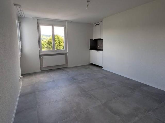 1 Zimmer, 22 m², EG