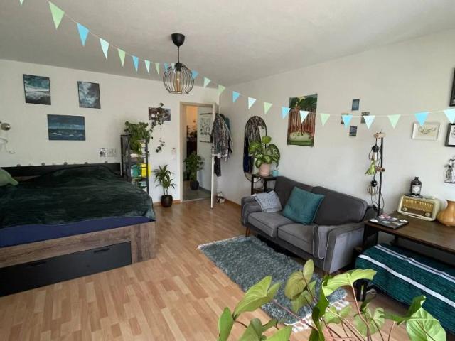 1 Zimmer, 27 m²