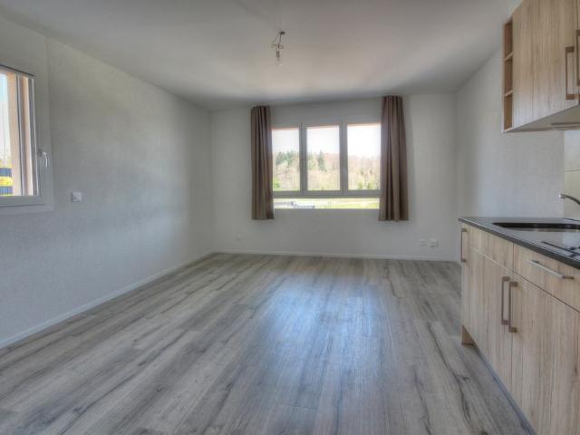 1 Zimmer, 24 m², EG