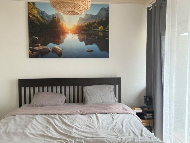 1 Zimmer, 24 m²