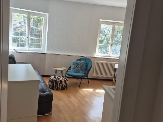 1 Zimmer, 24 m²