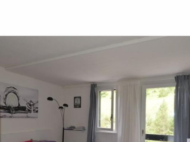 1 Zimmer, 24 m²