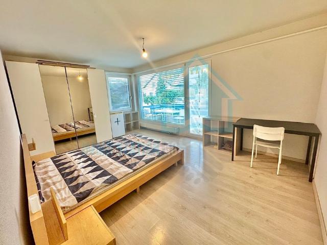 1 Zimmer, 25 m², EG