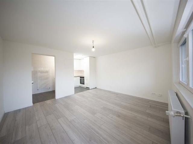 1 Zimmer, 25 m², EG