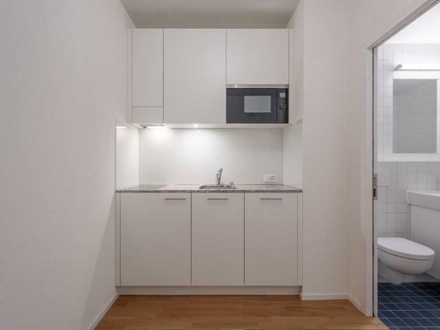 1 Zimmer, 25 m², EG