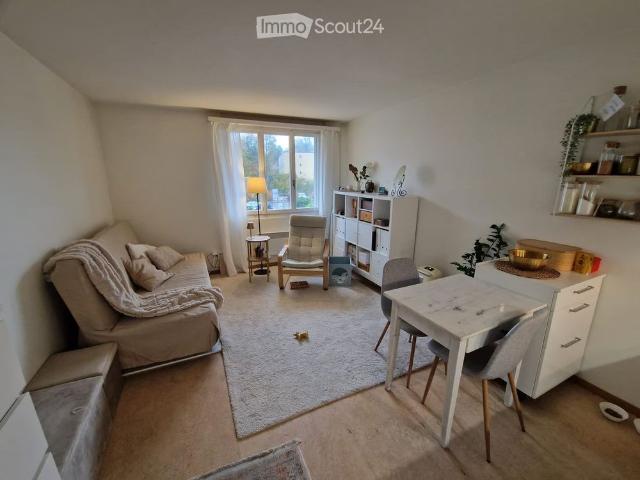 1 Zimmer, 25 m²