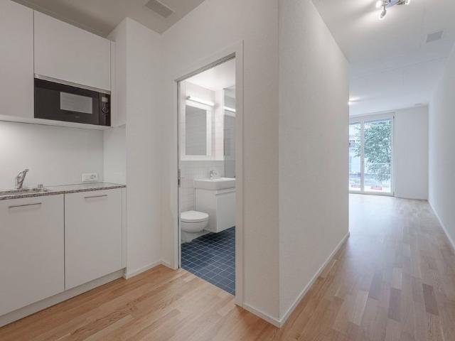 1 Zimmer, 25 m², 5. Stock