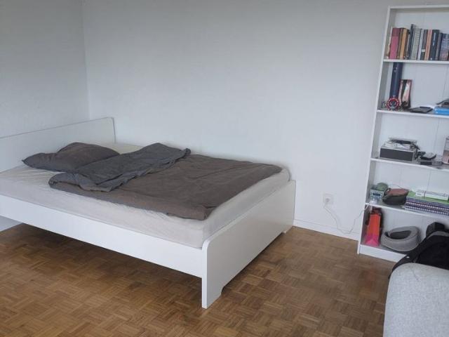 1 Zimmer, 25 m²