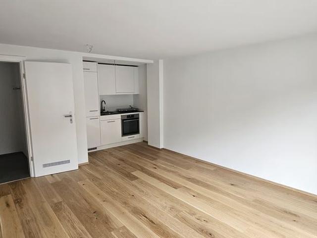 1 Zimmer, 28 m², EG