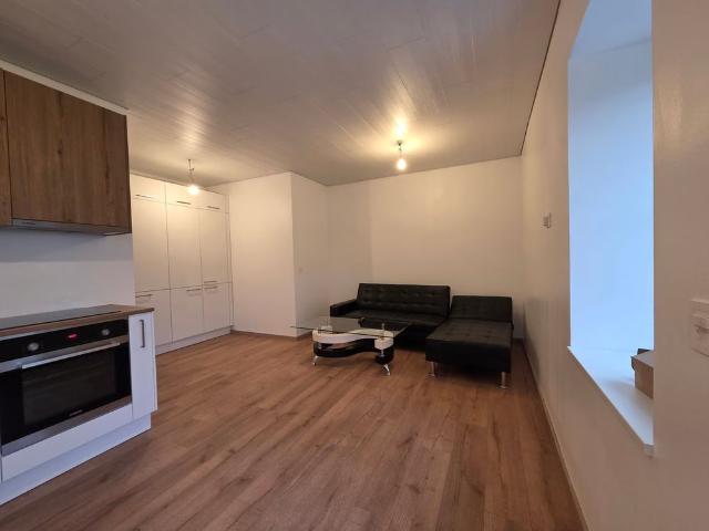 1 Zimmer, 28 m², Untergeschoss