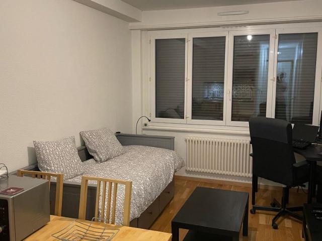 1 Zimmer, 30 m²
