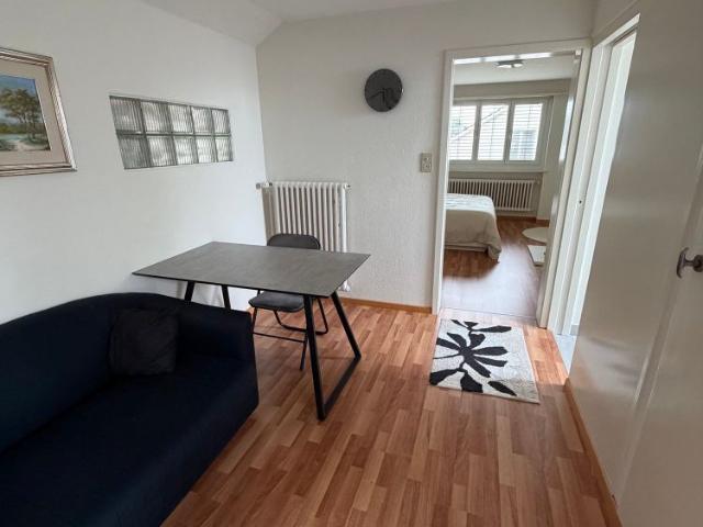 1 Zimmer, 30 m²