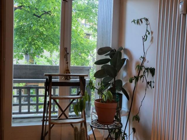 1 Zimmer, 37 m²